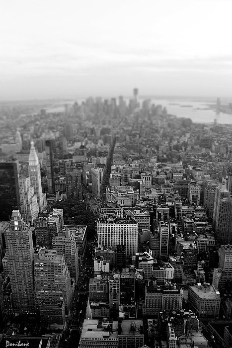 NYC in B&W by Donibane